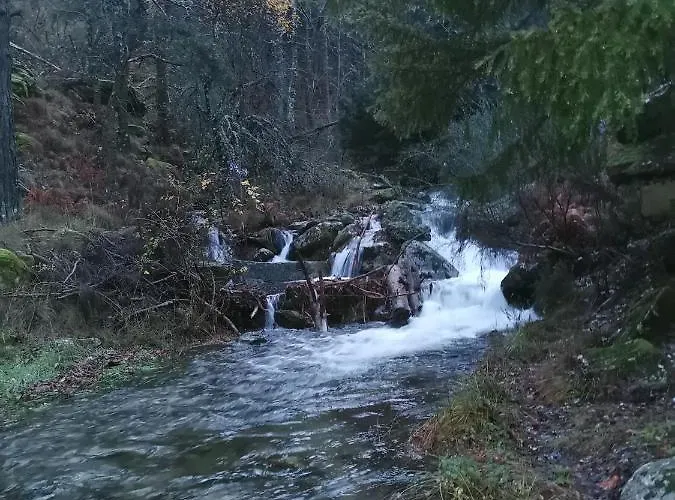 Дом отдыха El Cauce *